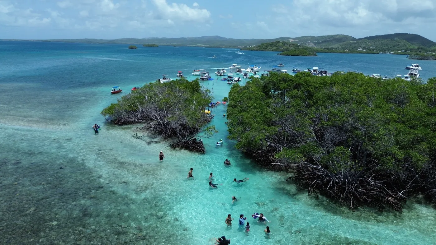 Aerial view of turquoise water and mangrove cays in Puerto Rico